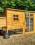 Cocoon 4000WX Chicken Coop