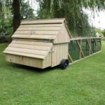 Dorset Ranger Ten Chicken Coop
