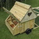 Dorset Ranger Ten Chicken Coop - Image 4
