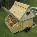 Dorset Ranger Six Chicken Coop - Image 5