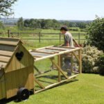 Dorset Ranger Ten Chicken Coop - Image 8