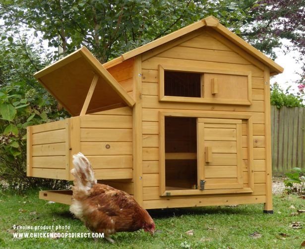Devon Hen House