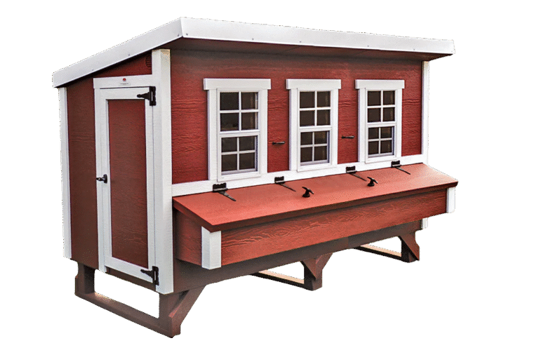 XL Chicken Coop