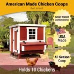 Medium Chicken Coop - Up to 10 Chickens - Image 7