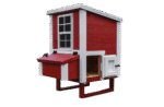 Small Chicken Coop
