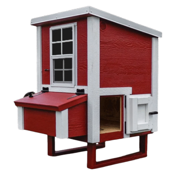 Small Chicken Coop