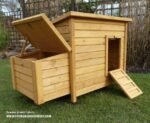 Kent Chicken Coop - Image 2