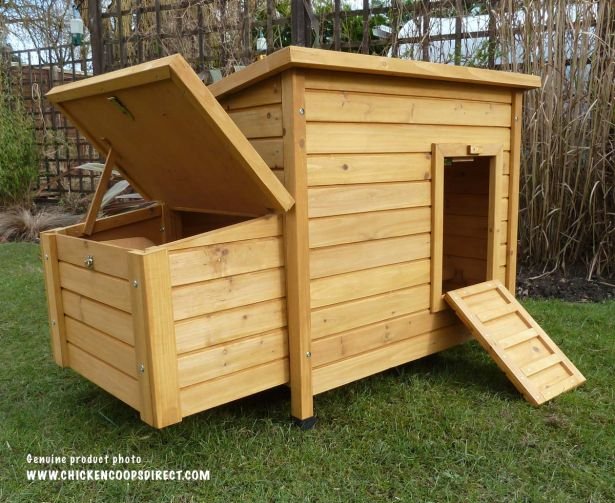 Kent Chicken Coop