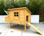 Dorset Chicken Coop - Image 6