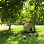 Dorset Stroller Chicken Coop - Vertical Door - No Heart Window - Image 10